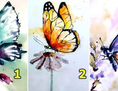 Scegli una di queste farfalle e scopri un aspetto importante sulla tua personalità